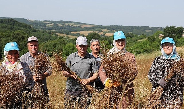 Tarım kenti Kandıra'da, Kandıra Belediyesi tarafından tarımsal üretimi desteklemek amacıyla sürdürülen çalışmalar aralıksız devam ediyor