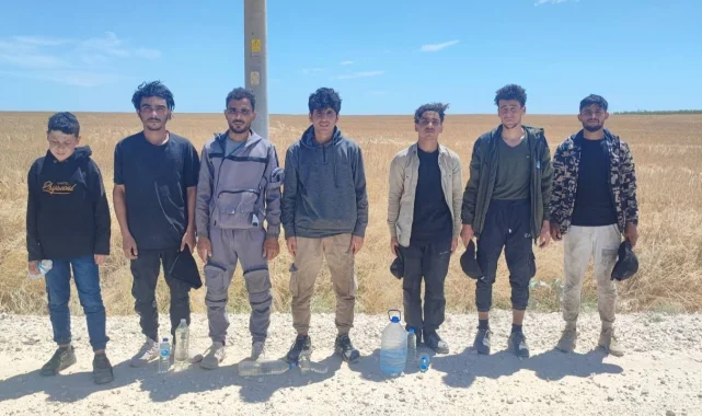 Edirne'de 7 Suriyeli yakalandı