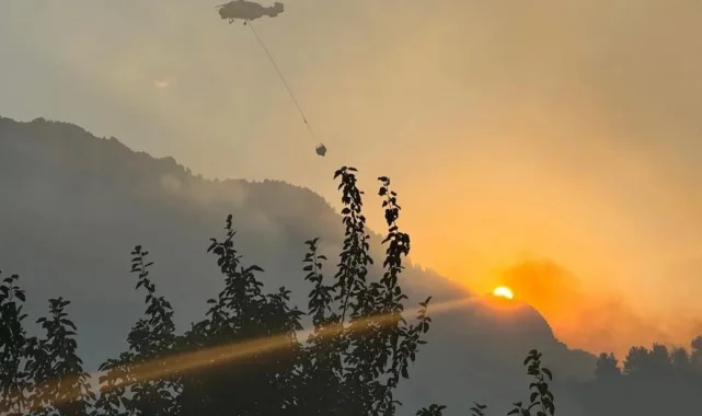 Kahramanmaraş'ta korkutan orman yangını kontrol altında