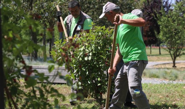 Sakarya'nın dört bir yanında estetik çalışmalar