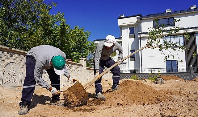 Selçuklu'da Yeşil Doku Güçlendiriliyor