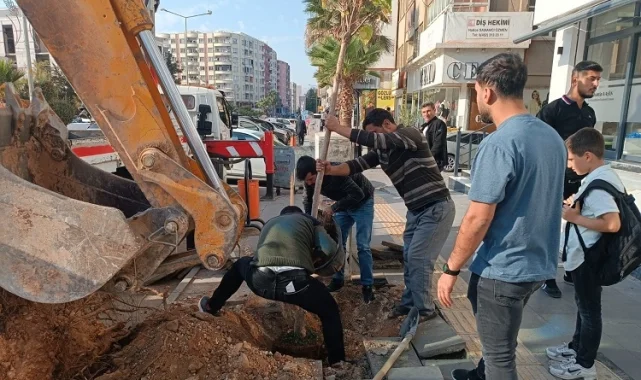 Mardin'de ağaç kesenler fidan dikti