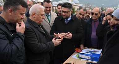 Bursa Büyükşehir Belediyesi'nden üreticiye fide ve fidan desteği