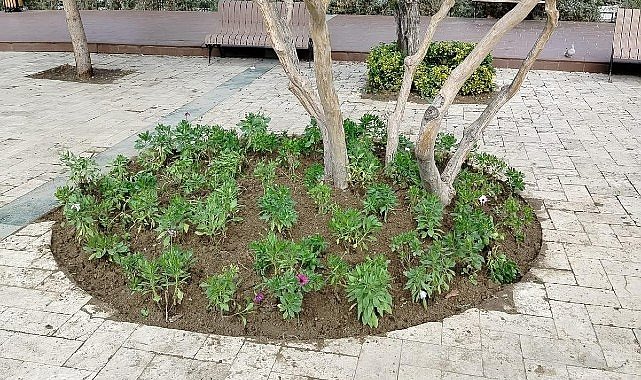 Büyükşehir'den Manisa'nın Yeşil Alanlarına Peyzaj Düzenlemesi