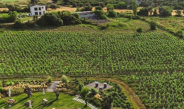 İzmir “Tercih Edilen Destinasyon