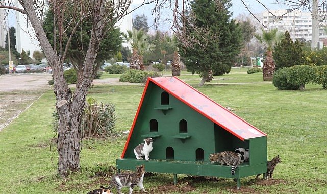 Karşıyaka Belediyesi'nden sahipsiz hayvanlar için örnek uygulama