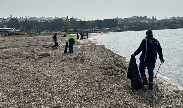 Mavişehir Sahili'nde Detaylı Temizlik Çalışması Yapıldı