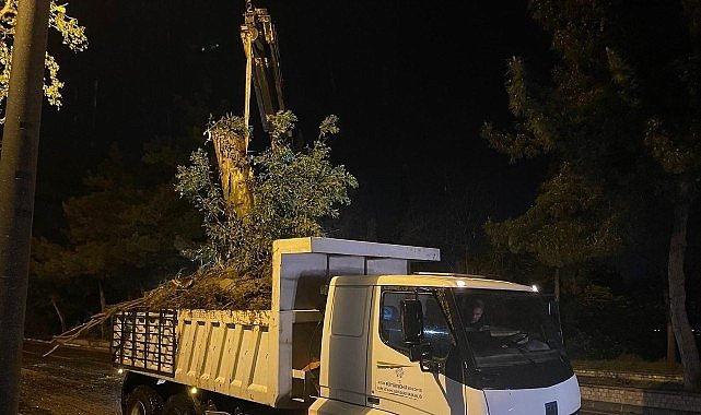 Aydın Büyükşehir Belediyesi'nden Şiddetli Yağış ve Fırtınaya Karşı Hızlı Müdahale