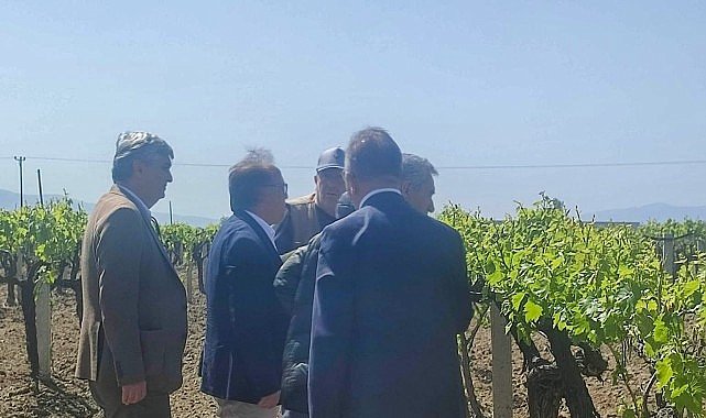 Büyükşehir'den Don Zararına Uğrayan Üreticilere Destek