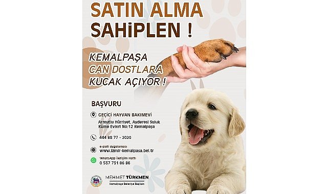 Türkmen: “Can dostlarımıza yuva olmak hepimizin sorumluluğu