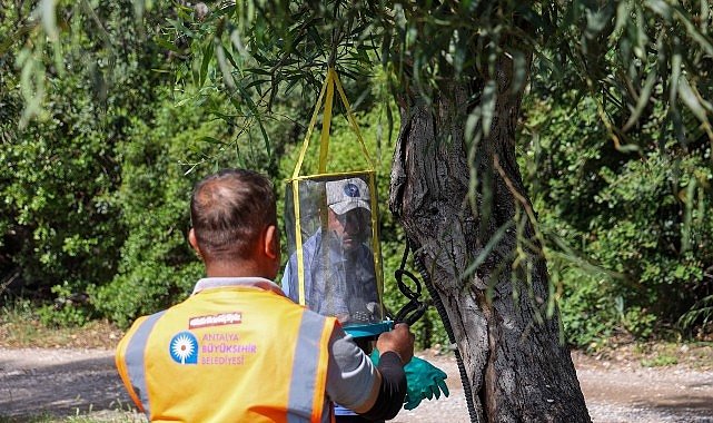 Sarısu Kadınlar Plajı 1 Haziran'da açılıyor