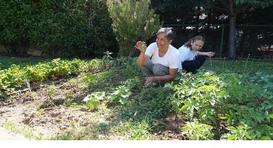Altın Yıllar Yaşam Merkezi'nde hasat zamanı