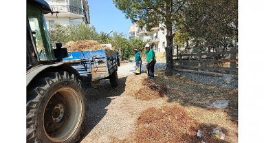 Ayvalık Belediye Başkanı Mesut Ergin; 