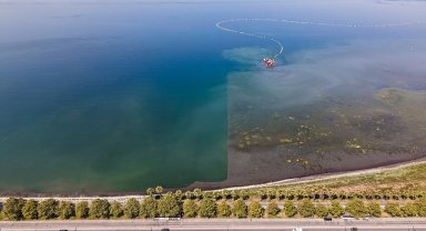 Körfez'de mavi dönüşüm