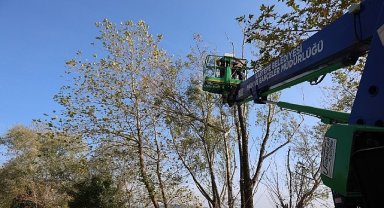 Kartepe'de Yeşil Alanlara Bakım
