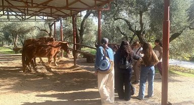 Narlıdere Belediyesi'nden Gönüllülere Teşekkür