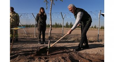 OGM: 30 milyon fidan sahiplenildi