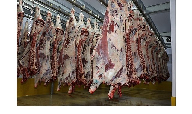 Büyükşehir Mezbahası'nda 6 bin 29 kesim yapıldı