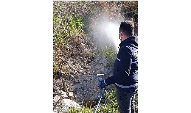 Didim'de Halk Sağlığı İçin Vektörlere Karşı Etkin Mücadele