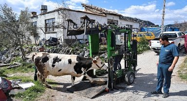 Büyükşehir'den Gündoğmuşlu üreticilere tırnak bakım desteği