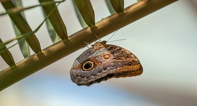Selçuklu Belediyesi Ramazan Bayramı'na Hazır