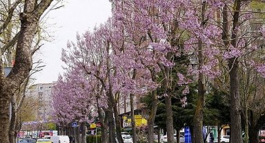Beylikdüzü'nde Bahar Mesaisi Başladı