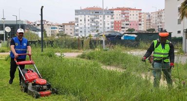 Buca'da bahar temizliği