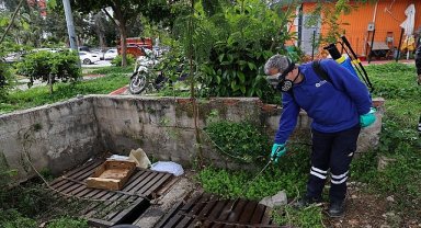 Büyükşehir'den sinek üreme alanlarında yoğun çalışma 