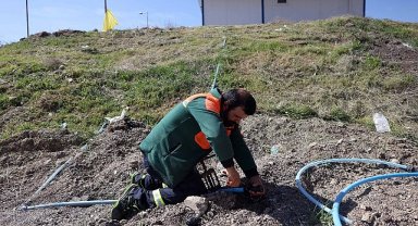 Çankaya'da Kurban Bayramı Hazırlıkları Başladı