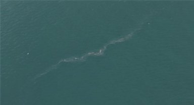 İzmir Körfezi'nde 13. dış kaynaklı kirlilik vakası