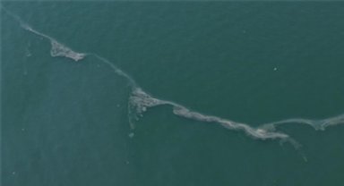 Körfez'de 12. kez dış kaynaklı kirlilik tespit edildi