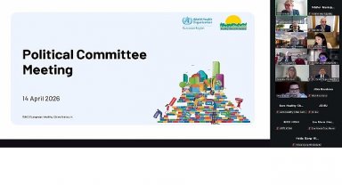 Nilüfer Belediye Başkanı Şadi Özdemir, DSÖ Siyasi Komitesi'ne seçildi