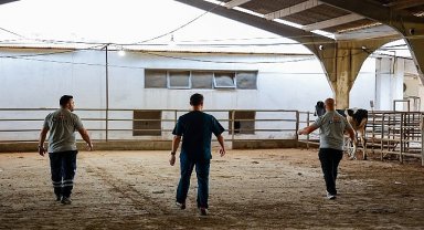 Büyükşehir'in kurban yakalama timi göreve hazır 