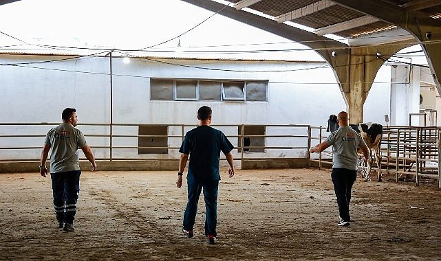 Büyükşehir'in kurban yakalama timi göreve hazır