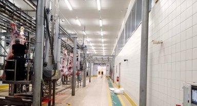 Büyükşehir Mezbahası'nda kurban kesim işlemi tamam
