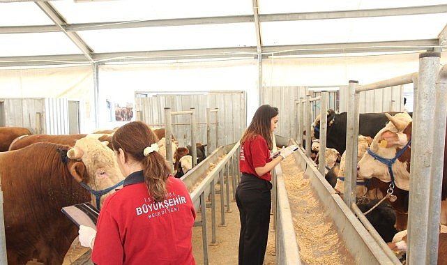 İBB'nin 4 Modern Tesisi Kurban Bayramı İçin Hazır