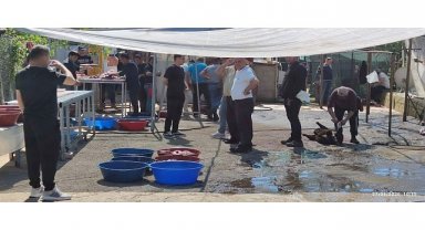 Maltepe'de kaçak kurban kesimine sıkı denetim