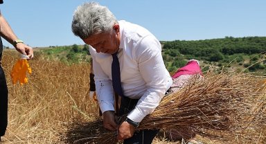 40 Yıl Aradan Sonra Kandıra'da Keten Üretimi Yeniden Başladı