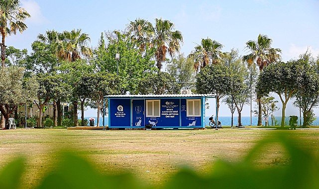 Büyükşehir'den sahipsiz kedilere mobil kısırlaştırma hizmeti