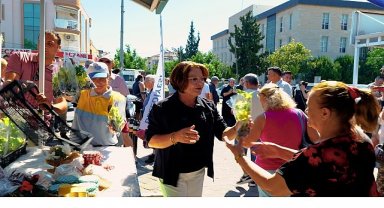 Didim Belediyesi'nden Ücretsiz Fide Dağıtımı