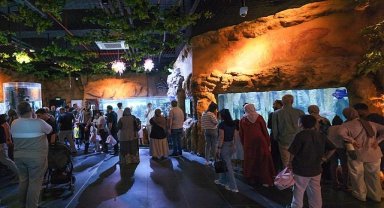 İzmit Millet Bahçesi'nde yeni bir yaşam hikâyesi
