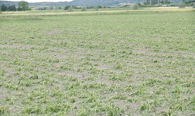 Kahramankazan'da Sağanak ve Dolu Hayatı Felç Etti!