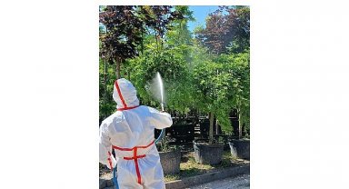 Kocaeli'nin yeşil geleceğine koruyucu dokunuş