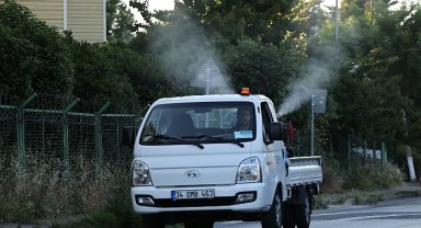 Küçükçekmece'de Sivrisineklere Karşı Mücadele Yoğunlaştı