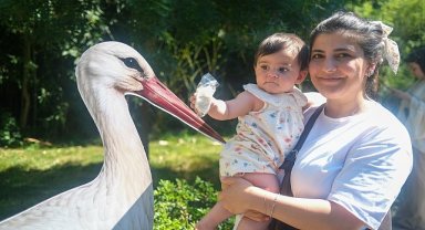 Ormanya'da yavru leylek Atlas'a sürpriz kutlama