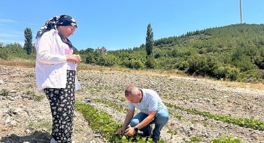 Bornova'datarıma can suyu
