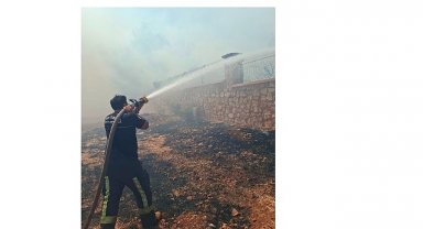 Büyükşehir İtfaiyesi'nden orman yangınına müdahale 