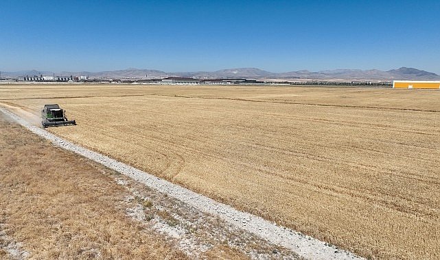 Pilot uygulamada ilk hasat yapıldı