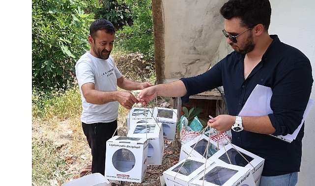 Büyükşehir'den 800 dekar araziye faydalı böcek desteği