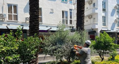 Büyükşehir ekiplerinden Kemer Liman Caddesi'nde çalışma